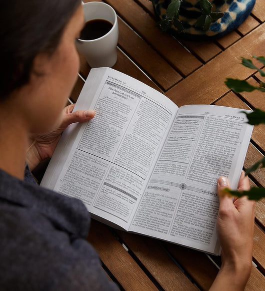 NASB, The Charles F. Stanley Life Principles Daily Bible, Holy Bible, New American Standard Bible by Charles F. Stanley||Thomas Nelson